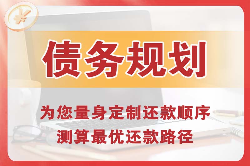 台江债务规划
